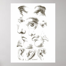 Yeux, Profil, Dessin des oreilles, 17ème siècle, v