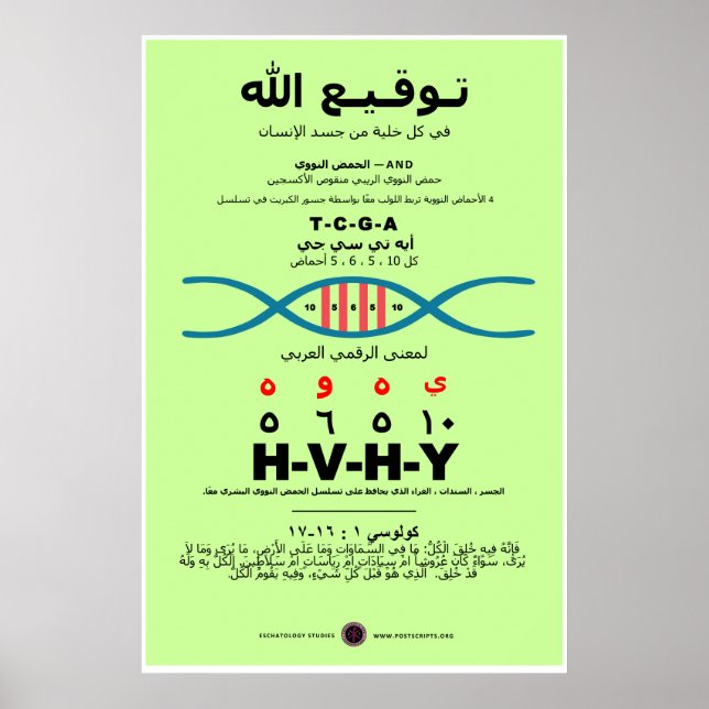 Poster YHVH dans l'ADN - arabe (Devant)