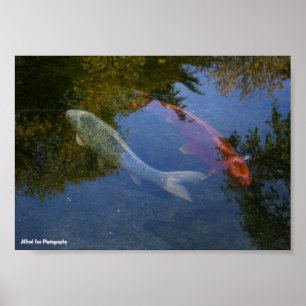 Poster Yin et Yang en argent et ambre