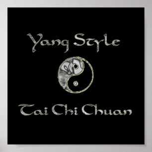 Poster Yin Yang Chrome, Yang Style Chrome, tai chi chrome