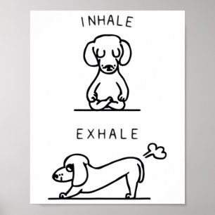 Poster Yoga Respiration Expiration Dachshund 