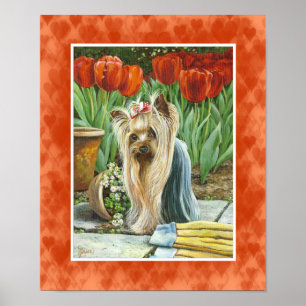 Poster Yorkie dans Tulip Garden Canvas Imprimer