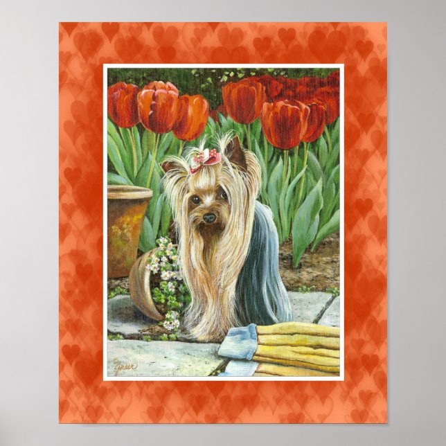 Poster Yorkie dans Tulip Garden Canvas Imprimer (Devant)