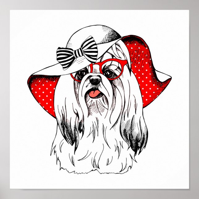 Poster Yorkie Fashion Shoot (Devant)