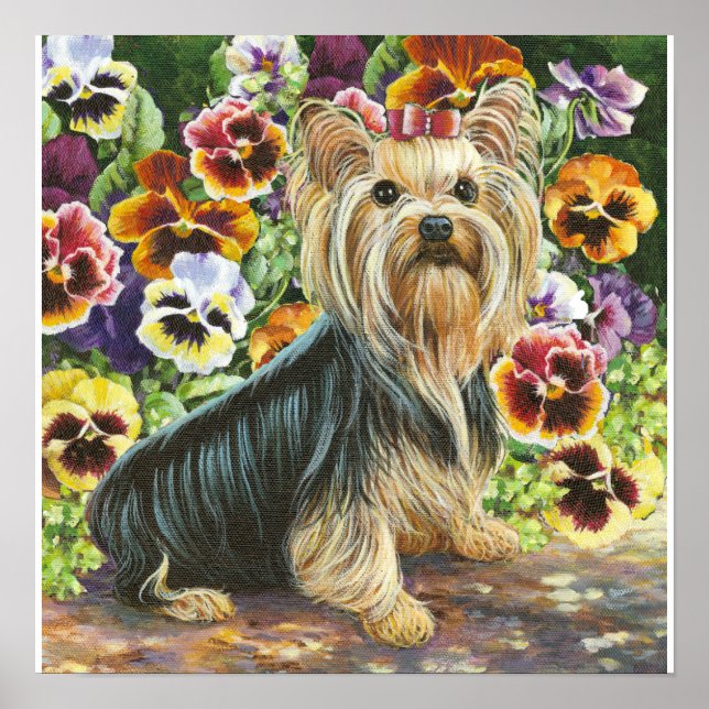 Poster Yorkie Yorkshire Terrier dans les Pansies Imprimer (Devant)