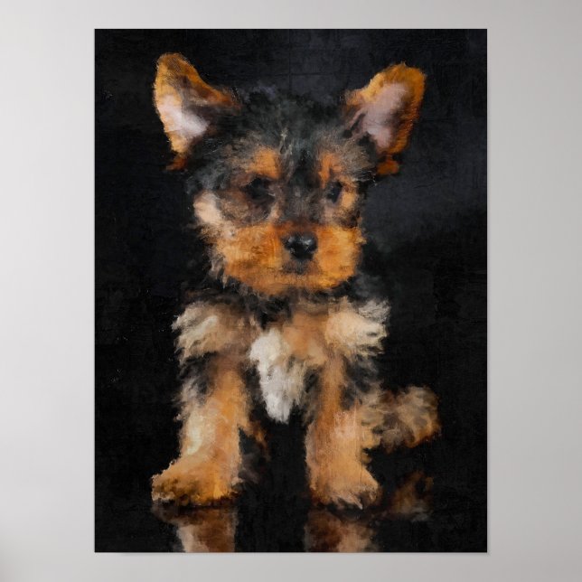 Poster Yorkshire Terrier (Devant)