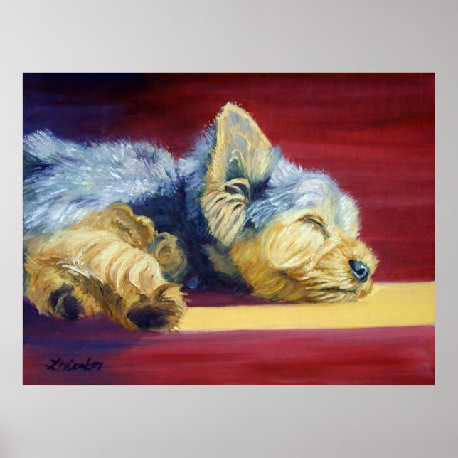 Poster Yorkshire Terrier (Devant)