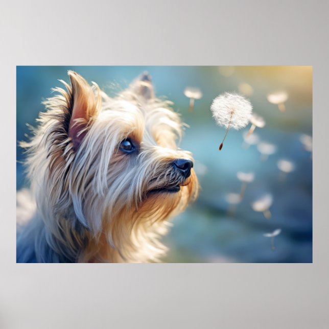 Poster Yorkshire Terrier chien animal animal animal anima (Devant)