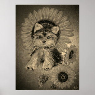 Poster Yorkshire Terrier mignon avec tournesols