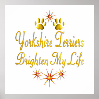 Poster Yorkshire Terriers Éclairer Ma Vie