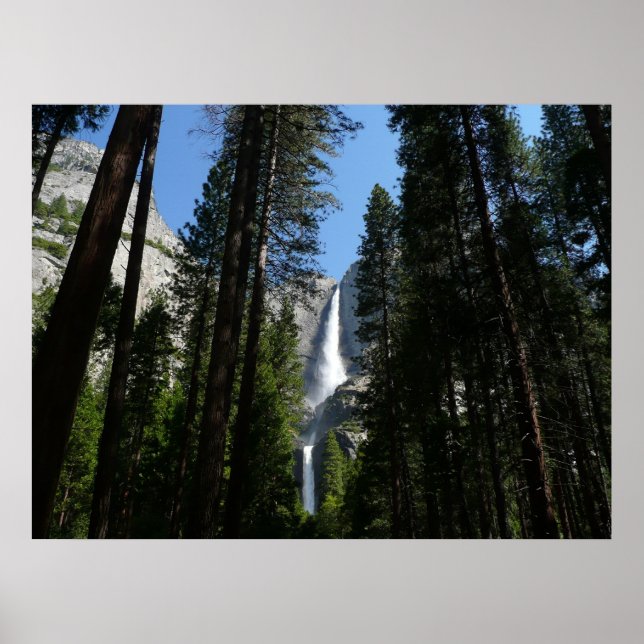 Poster Yosemite Falls et Woods Paysage Photographie (Devant)