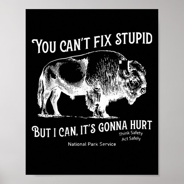 Poster You Can't Fix Stud But I Can It's Gonna Hurt Think (Devant)