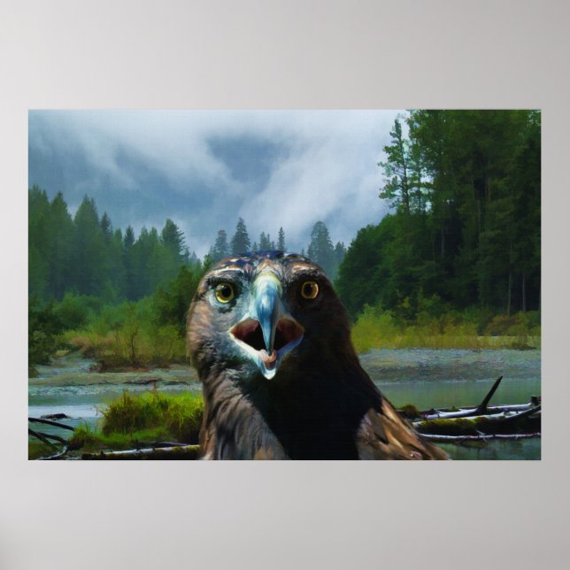 Poster Young Bald Eagle et Misty Alaskan River (Devant)