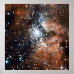 Poster Young Cluster NGC3603