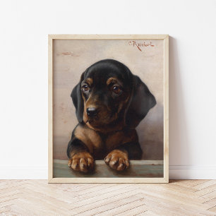 Poster Young Dachshund   Carl Reichert