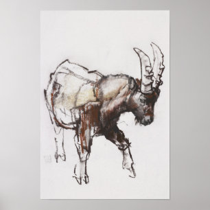 Poster Young Ibex Gran Paradiso 2005