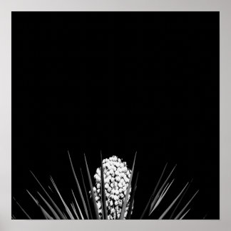 Poster Yucca noir et blanc par LLR