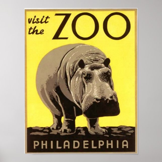 Poster Z00 - Hippo (Devant)