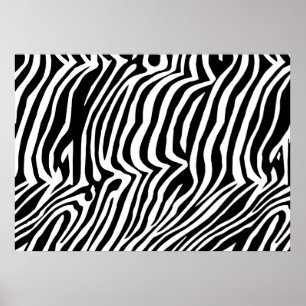Poster Zebra skin motif