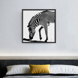 Poster Zebra with Shadow