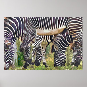 POSTER ZEBRAS