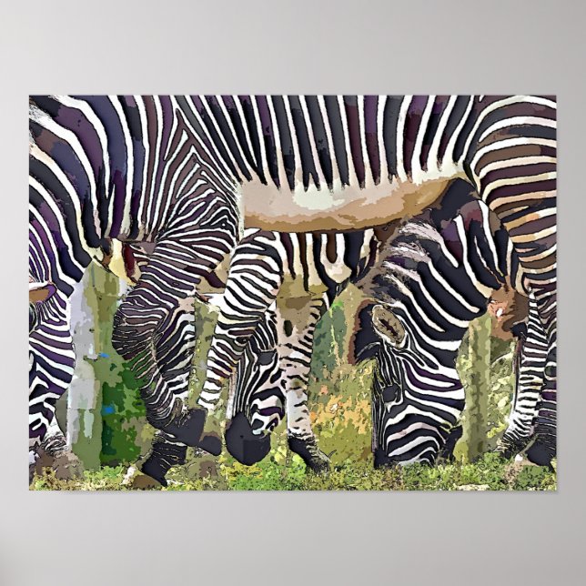 POSTER ZEBRAS (Devant)