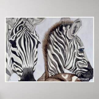 Poster Zebras mère et enfant