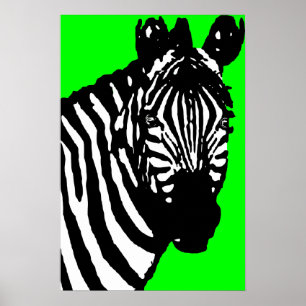 Poster zèbre