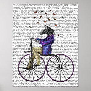 Poster Zèbre À Vélo