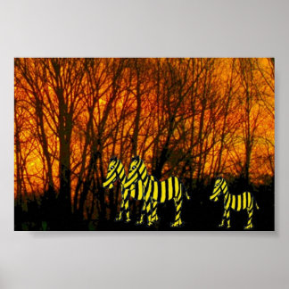 Poster Zèbres Jaunes
