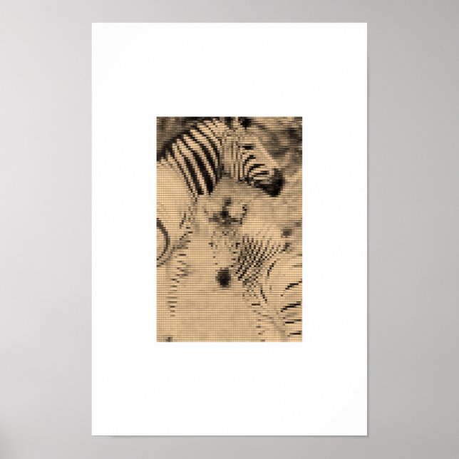 Poster Zebrix (Devant)