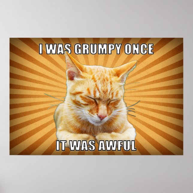 Poster Zen Cat (Devant)