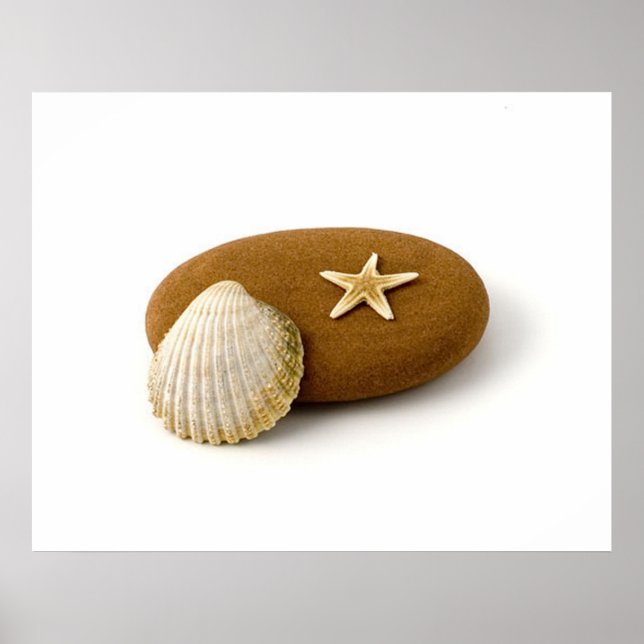 Poster Zen Nature Sea Shell Poisson étoile Pebble (Devant)