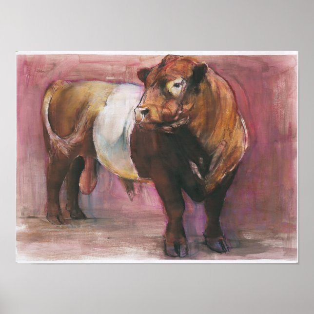 Poster Zeus Red Belted Galloway Bull 2006 (Devant)