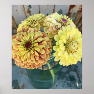 Poster Zinnia Queen Lime Blush