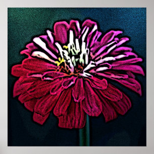 Poster Zinnia Woodcut