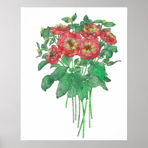 Poster Zinnias