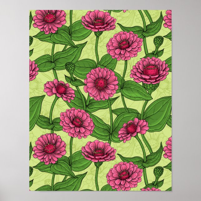 Poster Zinnias rose sur vert clair (Devant)
