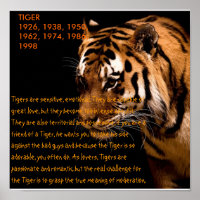 Zodiac chinois tigre