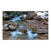 Zone de Tea Creek de Williams River