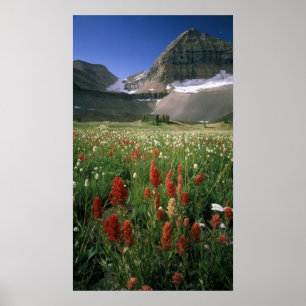 POSTER ZONE SAUVAGE DU MONT TIMPANOGOS, UT, É-U,