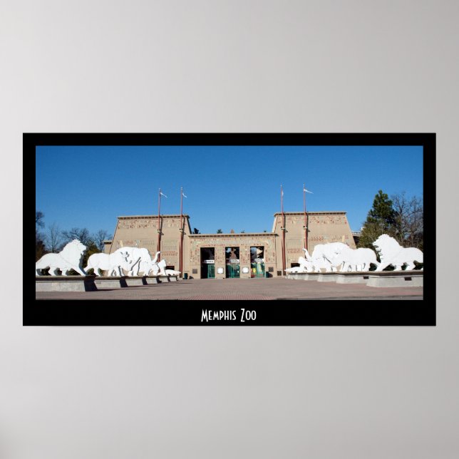 Poster Zoo de Memphis (Devant)