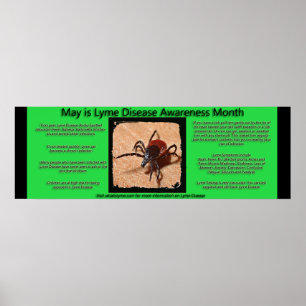 Poster zu Fakten über die Lyme-Borreliose-Wahrnehm