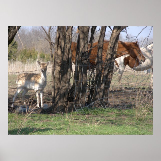 Poster zusammenleben (Vorne)