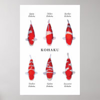 Posterart japanischer Koi-Fisch: Kohaku