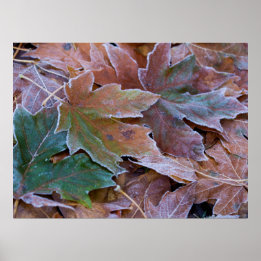 Posterpapier vom Herbst (Matte) Poster