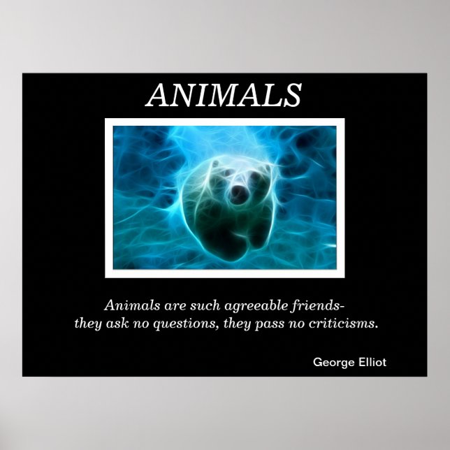 Posters d'animaux 32 (Devant)
