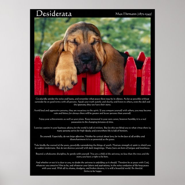 Posters de Desiderata Bloodhound (Devant)