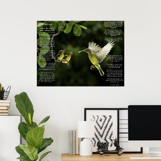 Posters de Desiderata Hummingbird (Bureau à domicile)