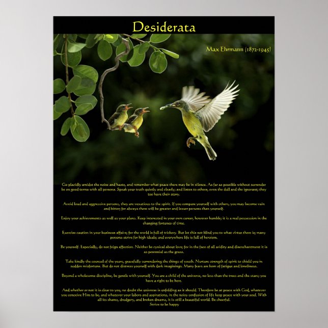 Posters de Desiderata Hummingbird 3 (Devant)